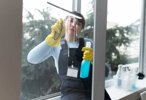 Nettoyage de vitres intérieures et extérieures à Saint-Thomas-de-Conac